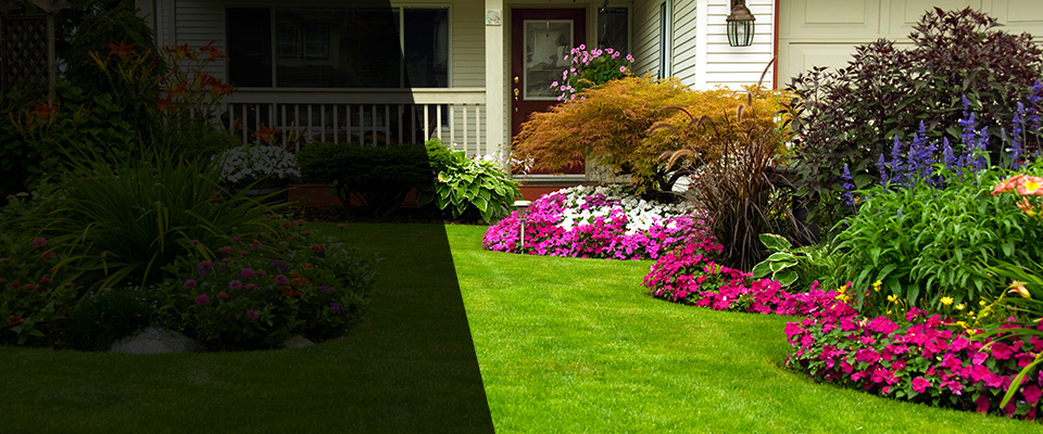 Represa Landscapers