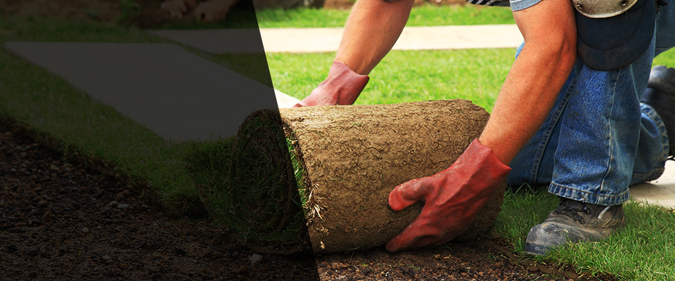 Represa Landscapers
